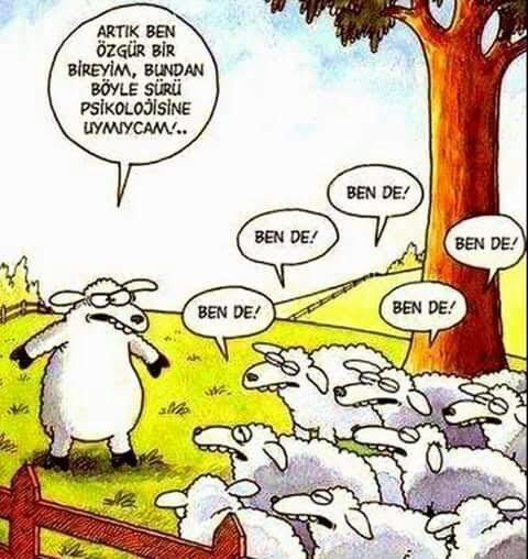 Bir reklam panonuz olsaydı, ne yazmak isterdiniz?
