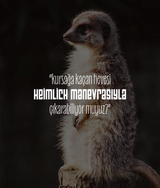 En son ne kaldı kursağınızda?