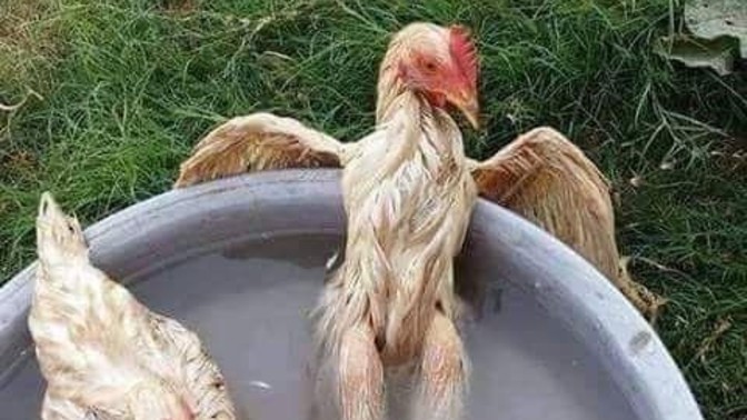 Rahatınıza düşkün biri misiniz?
