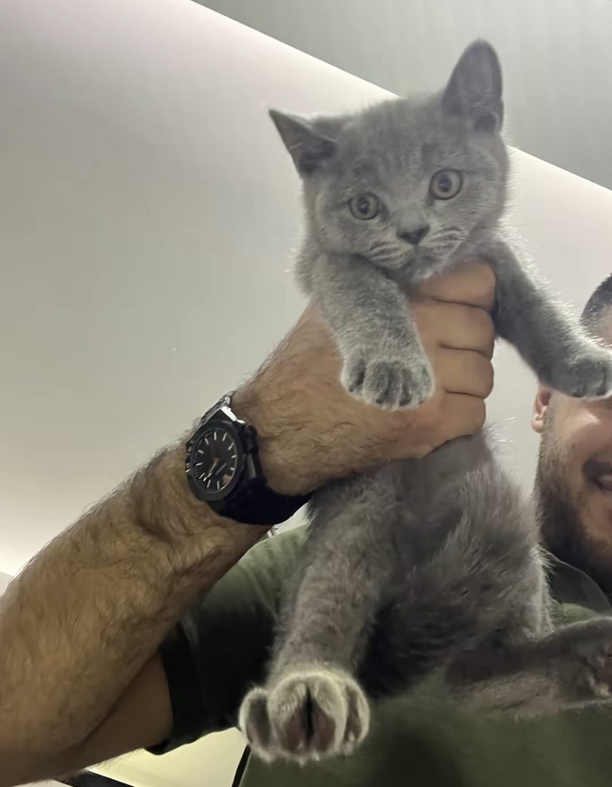 Hayvanları sever misiniz? Evinizde kaç pati dostu yaşıyor?