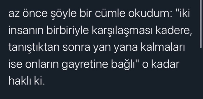 Galerinizdeki son foto ne?