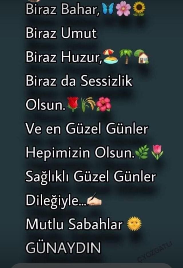 Galerinizdeki son foto ne?