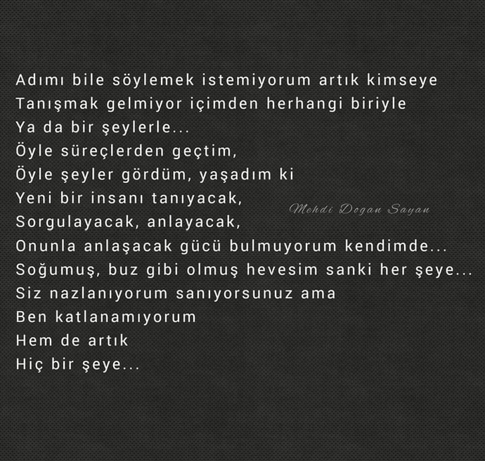 Galerinizdeki son foto ne?