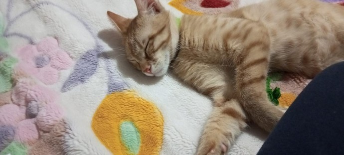 Galerinizdeki son foto ne?
