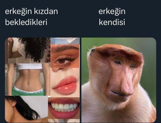 Erkelerin istediği bunlar değil mi?