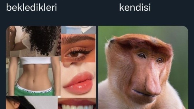 Erkelerin istediği bunlar değil mi?