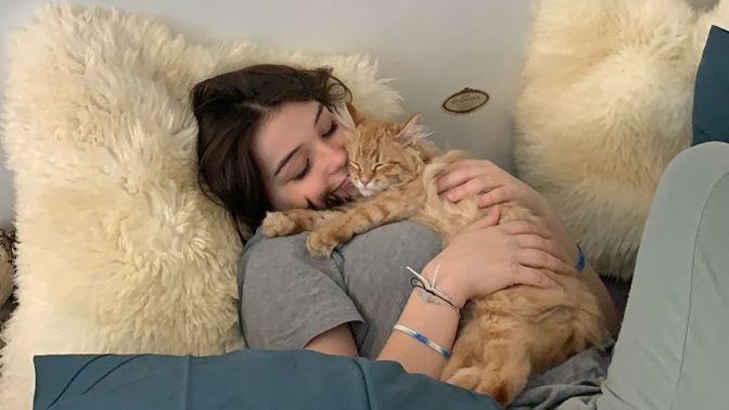 Sevgilim kedisini bana verecek ama annem istemiyor. Nasıl ikna ederim?