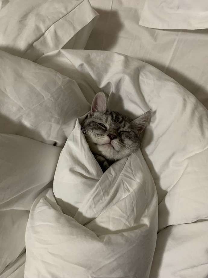 Uyku düzenin var mıdır 😴?