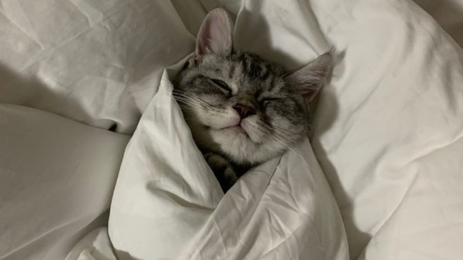 Uyku düzenin var mıdır 😴?