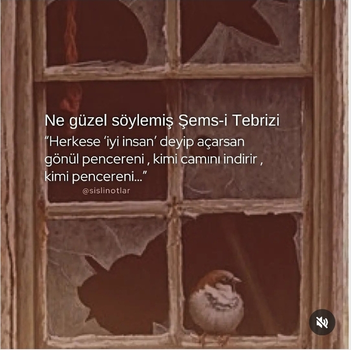 Herkese iyi insan gözü ile mi bakıyorsunuz?