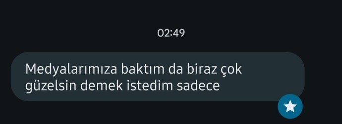 Bir kadın bir kadına böyle mesaj atar mı?