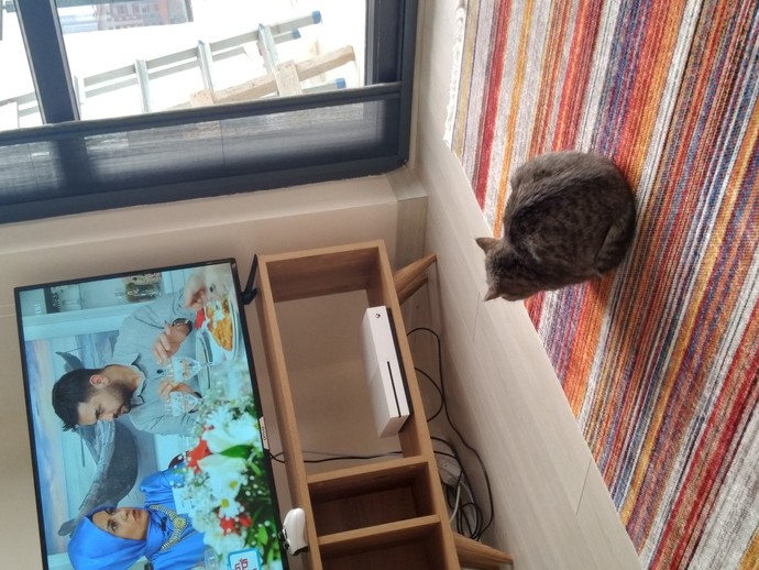 En son çektiğiniz fotoyu buraya atabilir misiniz?