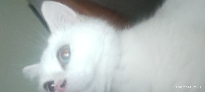 En son çektiğiniz fotoyu buraya atabilir misiniz?