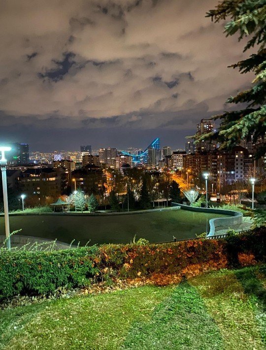 Doğup büyüdüğün şehri seviyor musun?