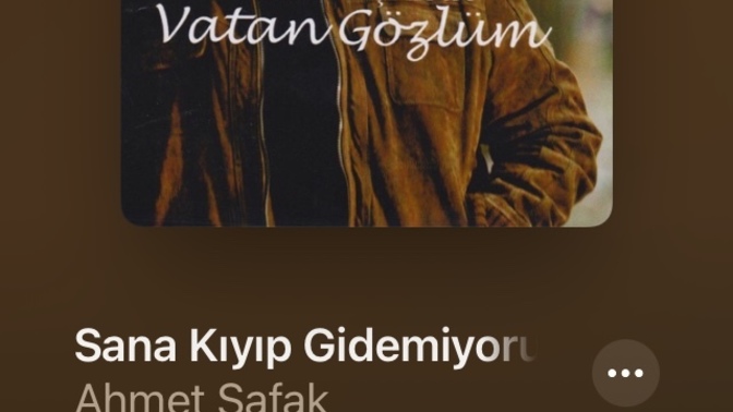 Şu an çalan şarkıdan bi cümle?