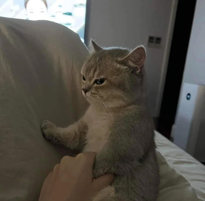Birine olan kırgınlığınız ne zaman geçer?