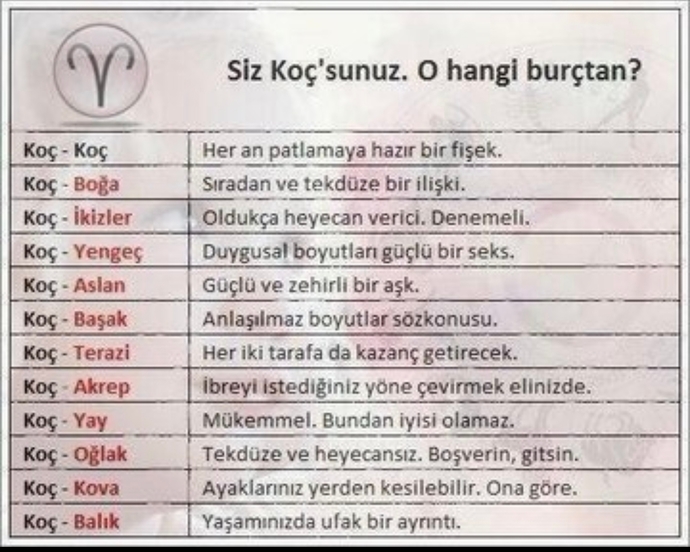 Koç burcunun diğer burçlarla uyumuna yönelik düşünceleriniz nelerdir?