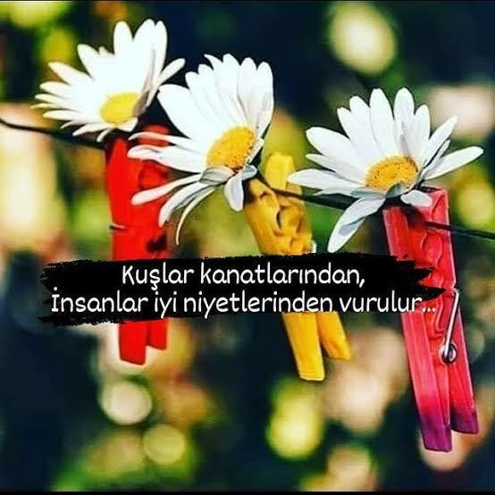 İyilik yapmayı sever misiniz? Hiç iyi niyetinizden dolayı kaybettiğiniz oldu mu?