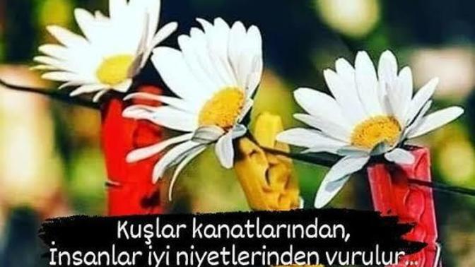 İyilik yapmayı sever misiniz? Hiç iyi niyetinizden dolayı kaybettiğiniz oldu mu?