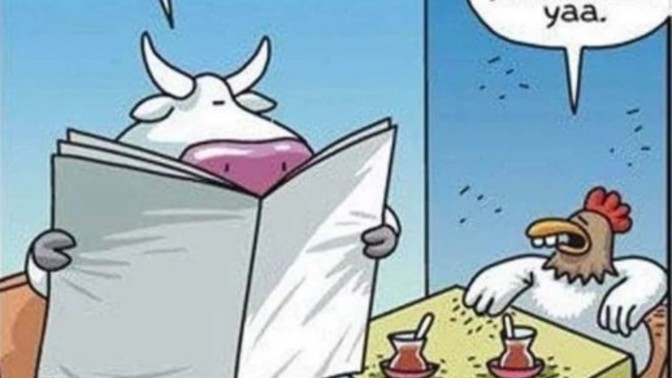 Ne sıklıkla et tüketiyorsunuz? En çok hangi et yemeği seviyorsunuz?