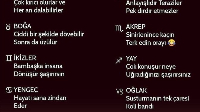 Burcuna göre sinirlendiğinde ne yapıyorsun?