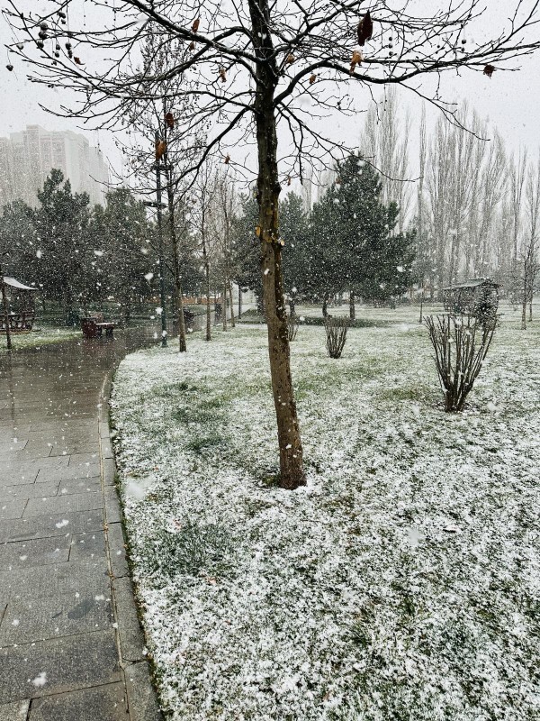 Mart ayında Ankara'ya kar yağıyor! Mevsimlere ne oldu?