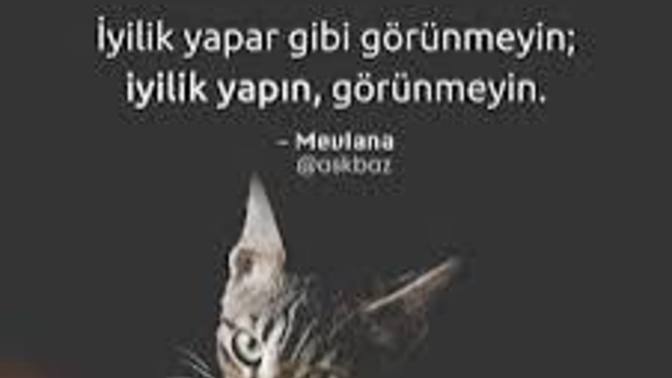 Herkese iyilik yapılır mı? Kimler iyiliği hakeder size göre?