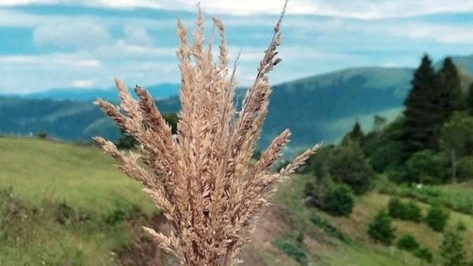 Memleketlerine göre insanların kişiliklerine karşı önyargılı davranır mısınız?