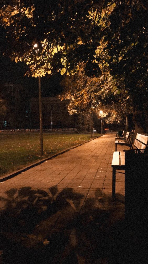 Geceleri yalnız yürüyüş yapmayı sever misiniz?
