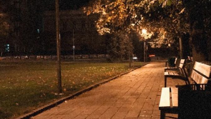 Geceleri yalnız yürüyüş yapmayı sever misiniz?