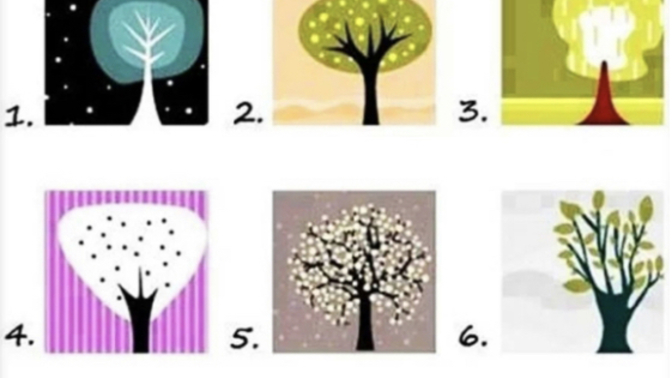 Ağacını seç, nasıl kisilik olduğunu soyleyeyim?