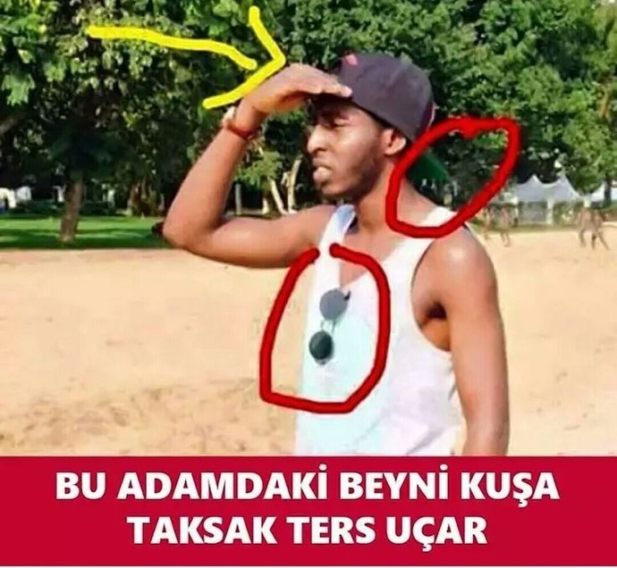 Herşeyi bilen cahil midir?