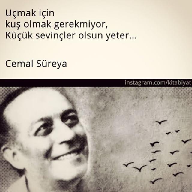 Küçük şeylerle mutlu olabilir misiniz?