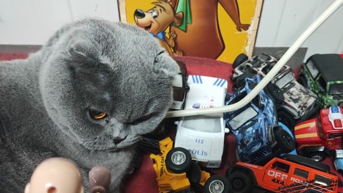 Kavga etmeyi sevdiğin biri var mı?