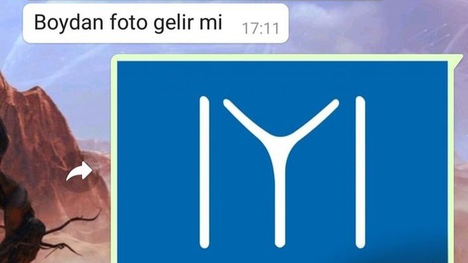 Erkekler neden boydan fotoğraf ister?