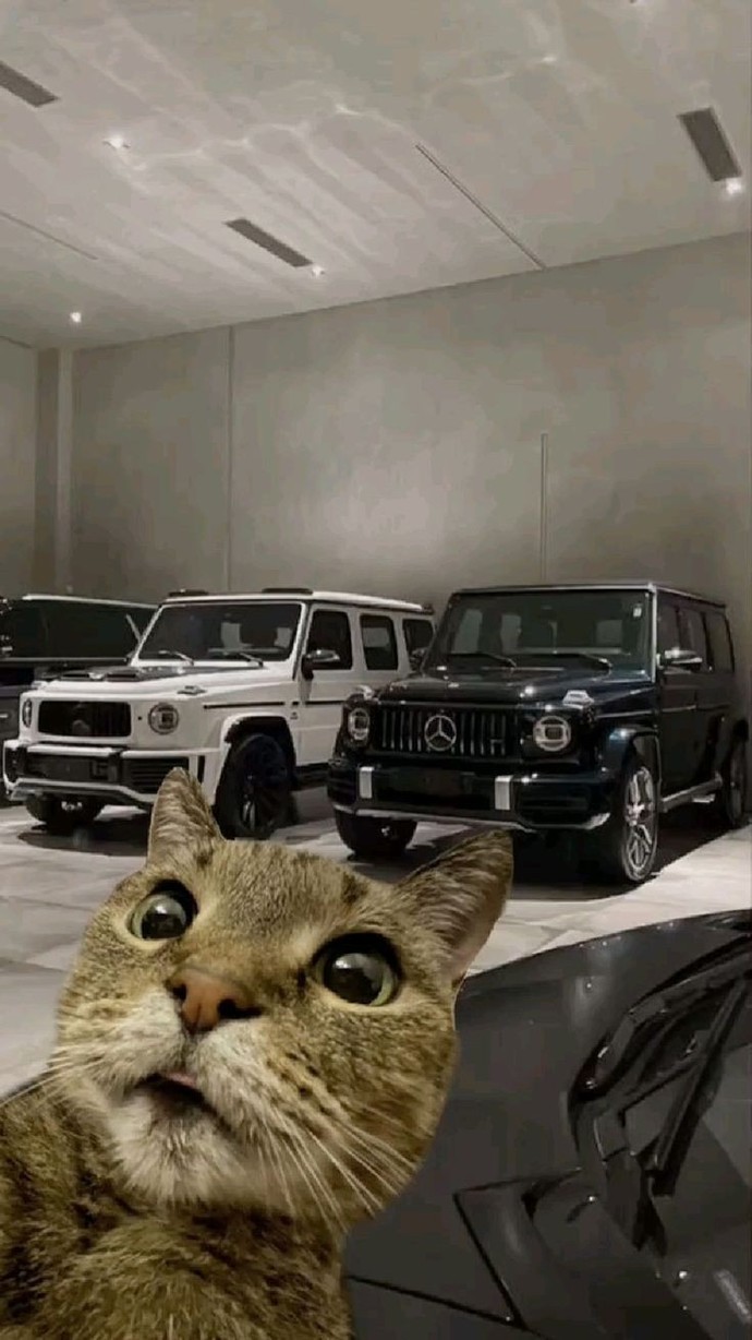 Arabanız ile sık sık selfie çekilir misiniz?