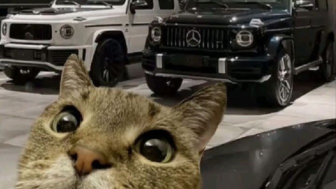 Arabanız ile sık sık selfie çekilir misiniz?