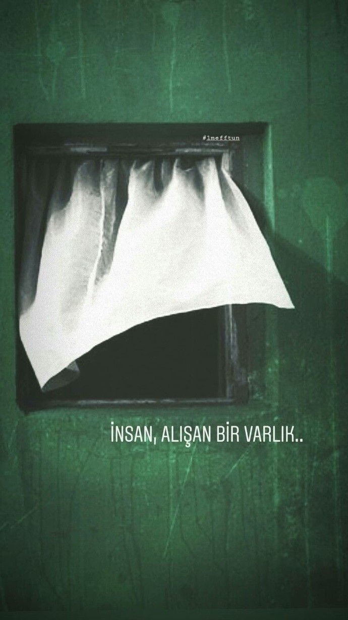 Gerçekten herşeye alışıyormu insan?