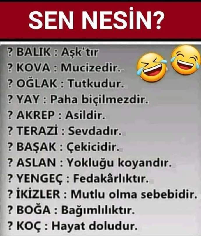 Burcuna göre sen nesin?