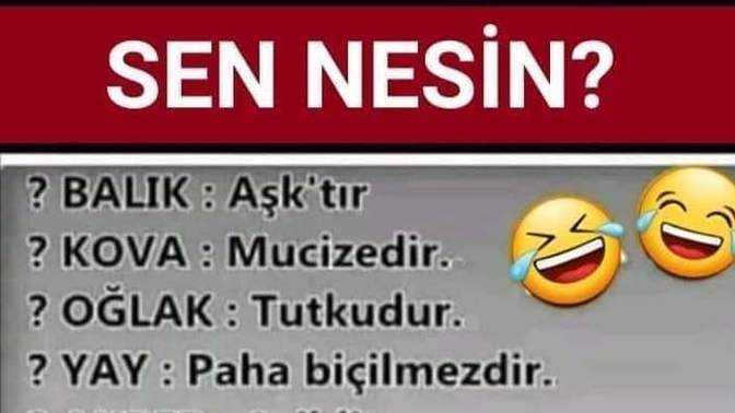 Burcuna göre sen nesin?