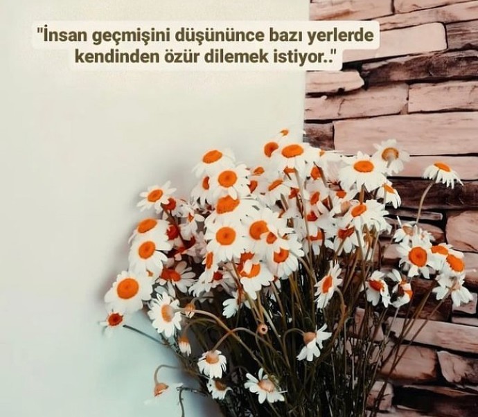 Geçmişinizden Özür Diliyor Musunuz?