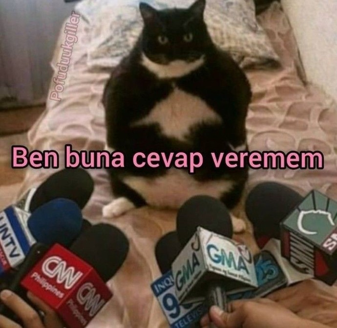 Yavaşça hareket edenlere tahammül edebilir misiniz?