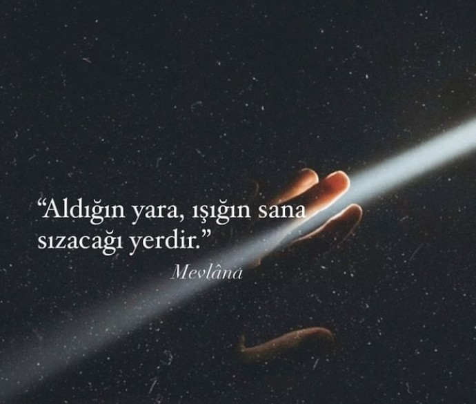 Bu Zamana Kadar Ne Kadar Yara Aldınız?