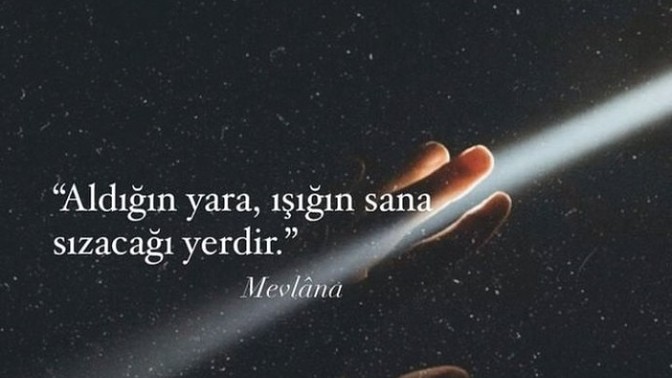 Bu Zamana Kadar Ne Kadar Yara Aldınız?