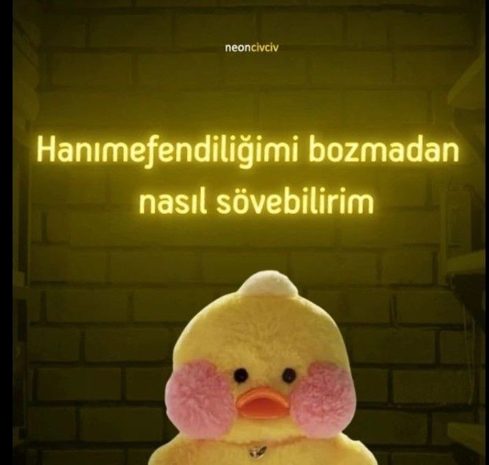 Hanımefendiliği bozmadan nasıl sövülür?