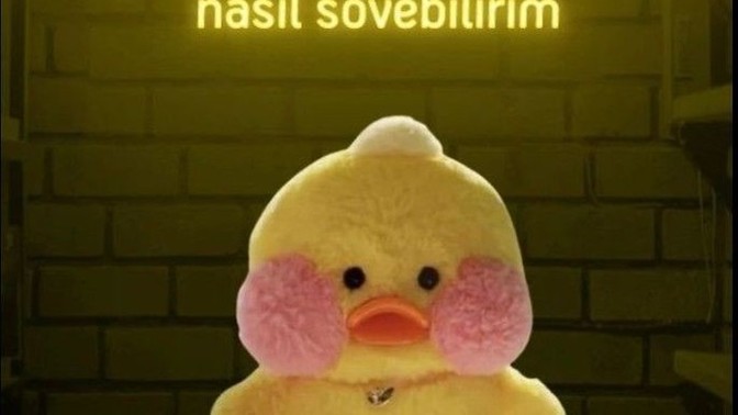 Hanımefendiliği bozmadan nasıl sövülür?