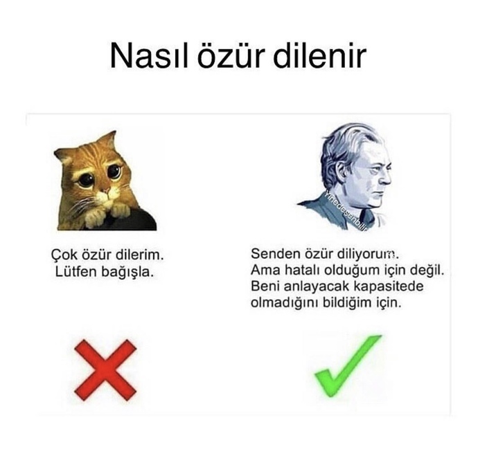 Özür diler misin ve nasıl dilersin? ❤️‍🩹?