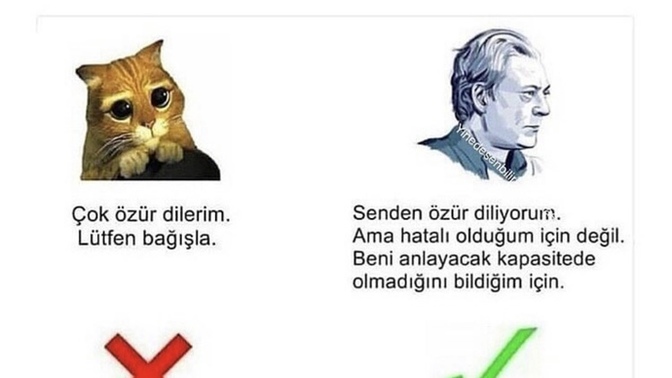 Özür diler misin ve nasıl dilersin? ❤️‍🩹?