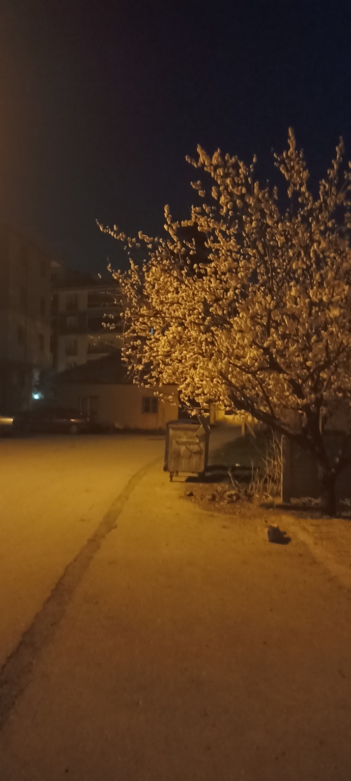 Neden bütün dertler beni buluyor?