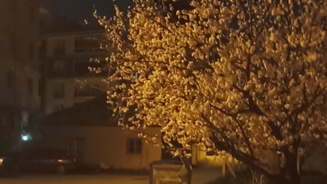 Neden bütün dertler beni buluyor?